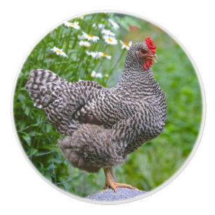 Bouton De Porte En Céramique Bouton en céramique de poulet