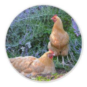 Bouton De Porte En Céramique Bouton en céramique de poulet