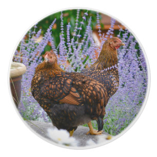 Bouton De Porte En Céramique Bouton en céramique de poulet