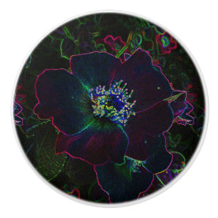 Bouton De Porte En Céramique Bouton en céramique de rose électrique