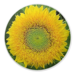 Bouton De Porte En Céramique Bouton en céramique de tournesol jaune