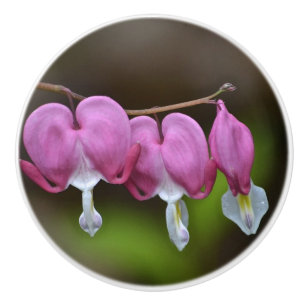 Bouton De Porte En Céramique Bouton en céramique du coeur saignant