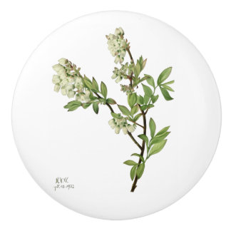 Bouton De Porte En Céramique Bouton en céramique fleur de myrtille