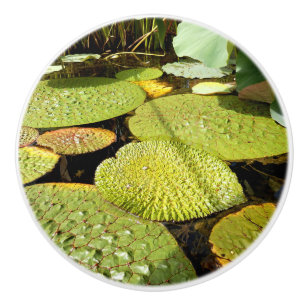 Bouton De Porte En Céramique Bouton en céramique Lily Pads