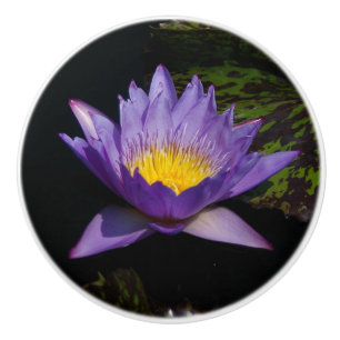 Bouton De Porte En Céramique Bouton en céramique nénuphar