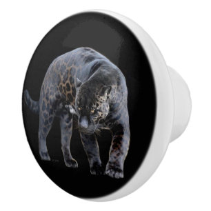 Bouton De Porte En Céramique Bouton en céramique noire Jaguar Diablo