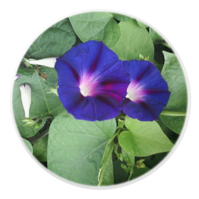 Bouton De Porte En Céramique Bouton en céramique personnalisé avec fleurs (Devant)