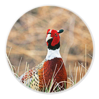 Bouton De Porte En Céramique Bouton en céramique personnalisée Pheasant à cou c