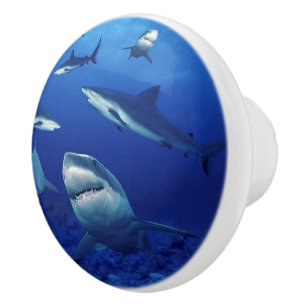 Bouton De Porte En Céramique Bouton en céramique requins
