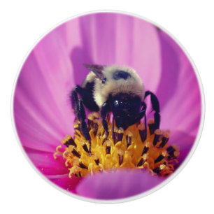 Bouton De Porte En Céramique Bumble Bee On Cosmos Flower  