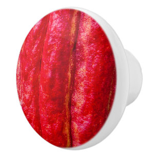 Bouton De Porte En Céramique cabosse rouge
