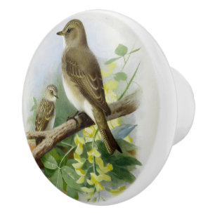 Bouton De Porte En Céramique Capteurs de vol, Illustration artistique