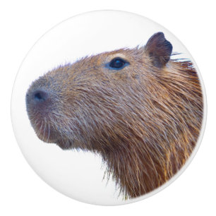 Bouton De Porte En Céramique Capybara