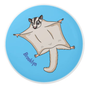 Bouton De Porte En Céramique Caricature de planeur de sucre volant mignon