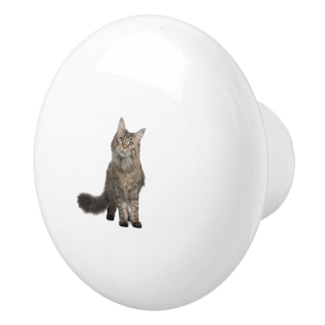 Bouton De Porte En Céramique Cat (Droite)