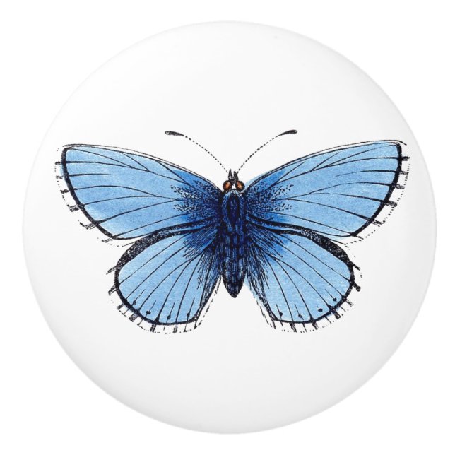 Bouton De Porte En Céramique Ceramic Knob - Blue Butterfly (Devant)