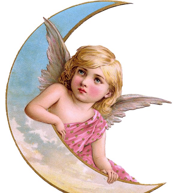 Bouton De Porte En Céramique Cerub rose Tige (Créateur téléchargé)