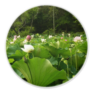 Bouton De Porte En Céramique Champ de fleurs de Lotus Jardin d'été