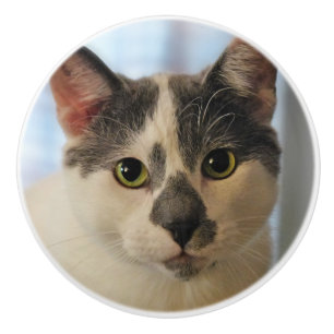 Bouton De Porte En Céramique Chat adorable