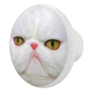 Bouton De Porte En Céramique Chat blanc
