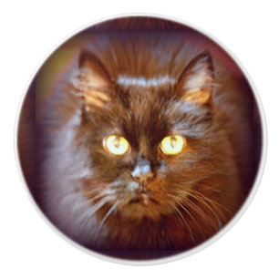 Bouton De Porte En Céramique chat noir