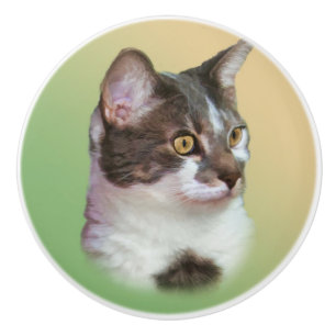 Bouton De Porte En Céramique Chat noir et blanc, personnalisable