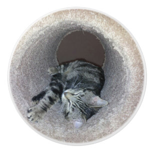 Bouton De Porte En Céramique Chat Sleepy Kitty par Shirley Taylor
