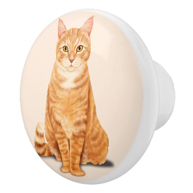 Bouton De Porte En Céramique Chat Tabby Orange Personnalisé (Droite)