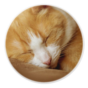 Bouton De Porte En Céramique Chaton couchant