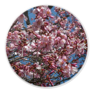 Bouton De Porte En Céramique Cherry Blossoms et Blue Sky Spring Floral