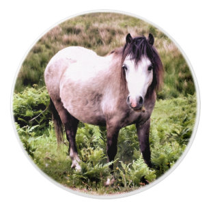 BOUTON DE PORTE EN CÉRAMIQUE CHEVAUX