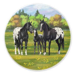 Bouton De Porte En Céramique Chevaux Appaloosa Noir Dans Les Pâturages D'Été
