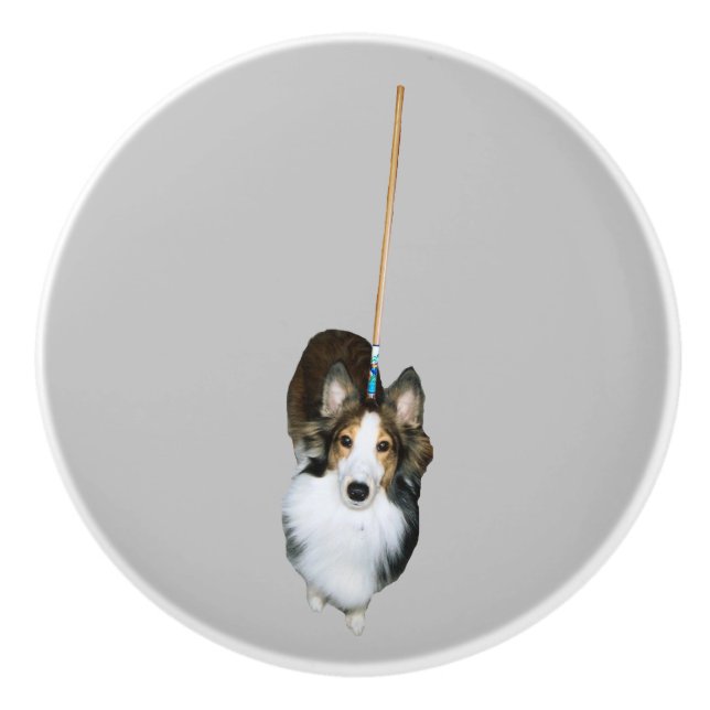 Bouton De Porte En Céramique Chien à la broche (Devant)