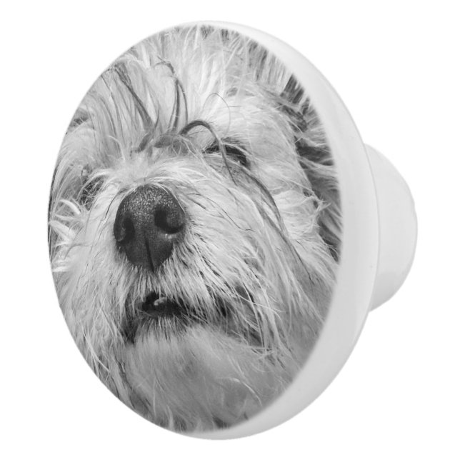 Bouton De Porte En Céramique Chien de Coton de Tulear (Droite)