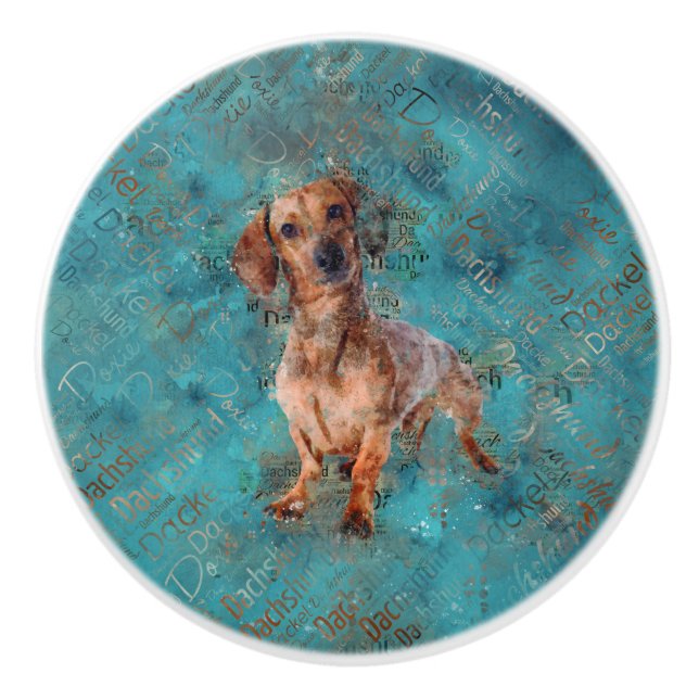 Bouton De Porte En Céramique Chien de Dachshund Art multimédia mixte (Devant)