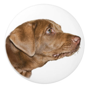 Bouton De Porte En Céramique Chien de labrador retriever, personnalisable
