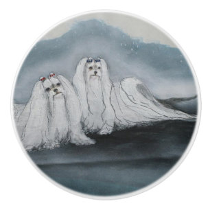 Bouton De Porte En Céramique Chien maltais Ron Hevener
