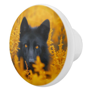 Bouton De Porte En Céramique Chien noir aux yeux d'or étonnants