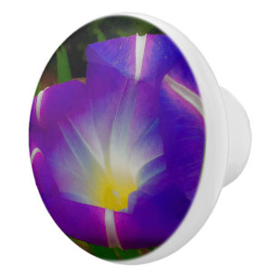 Bouton De Porte En Céramique Clôture des gloires du matin