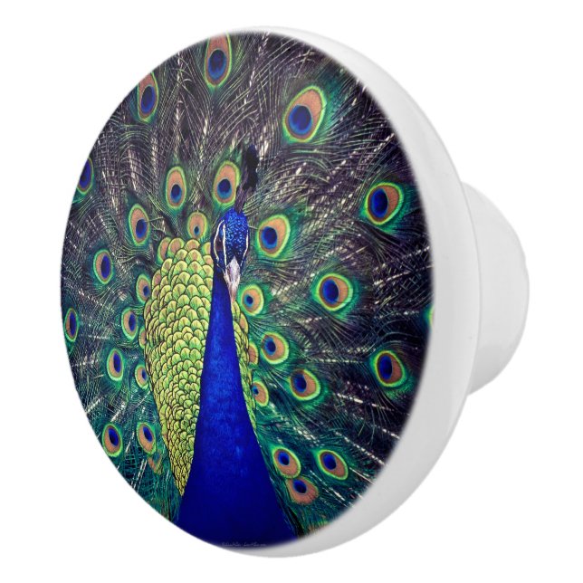 Bouton De Porte En Céramique Cobalt Blue Peacock (Droite)