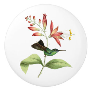 Bouton De Porte En Céramique Colibri coupé la queue par fourchette de nymphe e