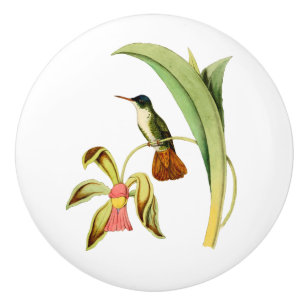 Bouton De Porte En Céramique Colibri couronné par azur