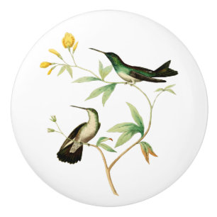 Bouton De Porte En Céramique Colibri de palétuvier