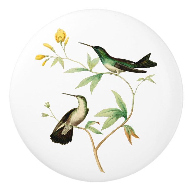 Bouton De Porte En Céramique Colibri de palétuvier (Devant)