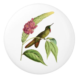 Bouton De Porte En Céramique Colibri olivacé de Bill d'épine