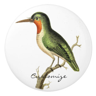 Bouton De Porte En Céramique Colibri Perched Thunder_Cove
