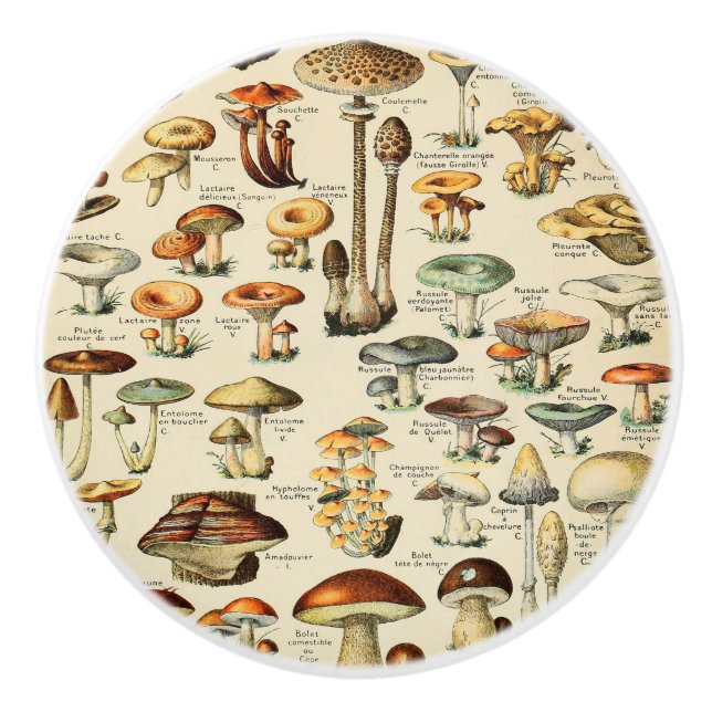 Bouton De Porte En Céramique Collection de champignons (Devant)