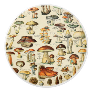 Bouton De Porte En Céramique Collection de champignons