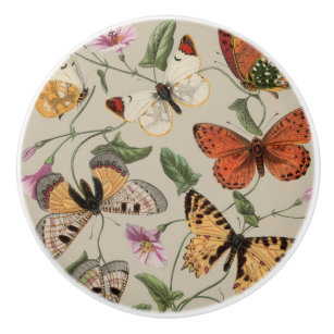 Bouton De Porte En Céramique Collection de la papillon Moth Nature Dessin