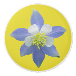 Bouton De Porte En Céramique Colonne 2